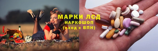 ECSTASY Алзамай