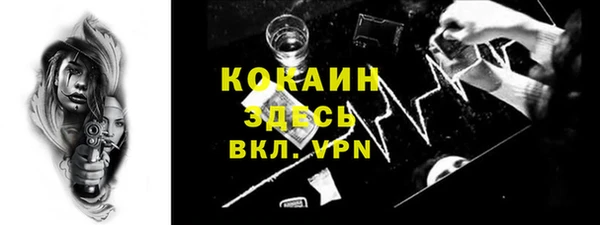 ECSTASY Алзамай