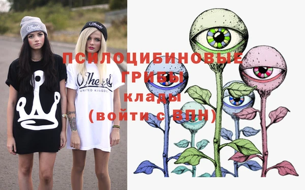 круглые Алексеевка