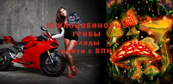 ECSTASY Алзамай