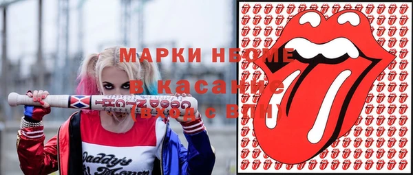 ECSTASY Алзамай