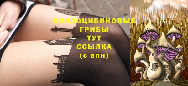 ECSTASY Алзамай