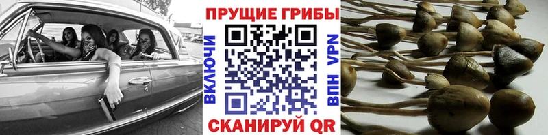 Псилоцибиновые грибы ЛСД  Южно-Сахалинск 
